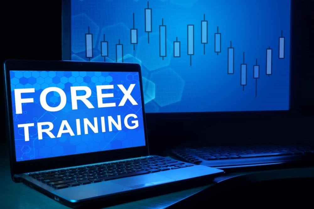 Forex training school stock market index fund investing